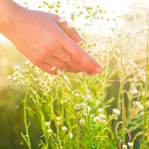 Encino sexual abuse therapy: survivor finding healing